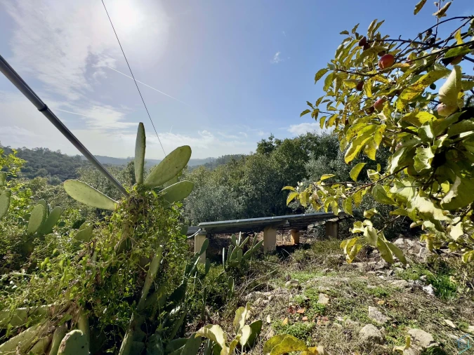 Moradia T3 para Venda em Além da Ribeira e Pedreira Foto 30
