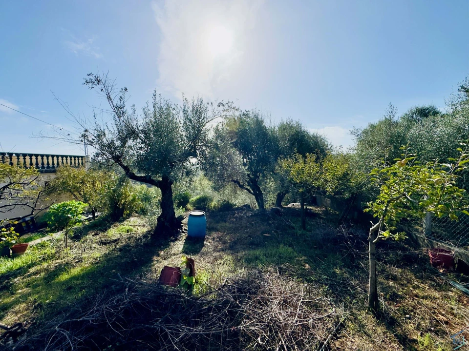 Moradia T3 para Venda em Além da Ribeira e Pedreira Foto 24