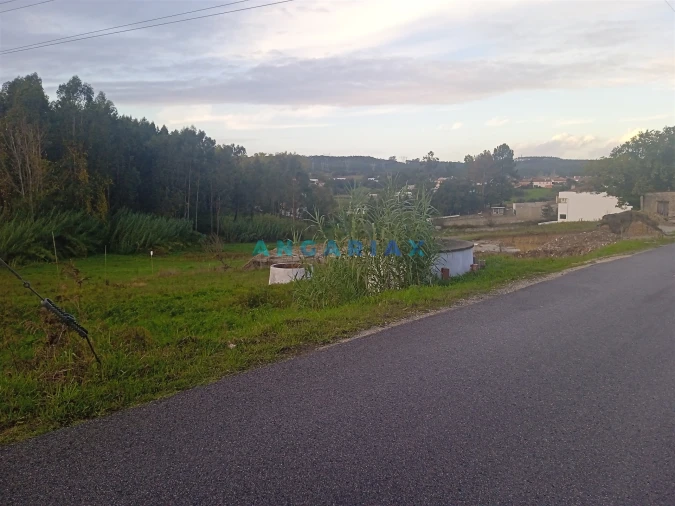 Terreno para Venda em Maceira Foto 3