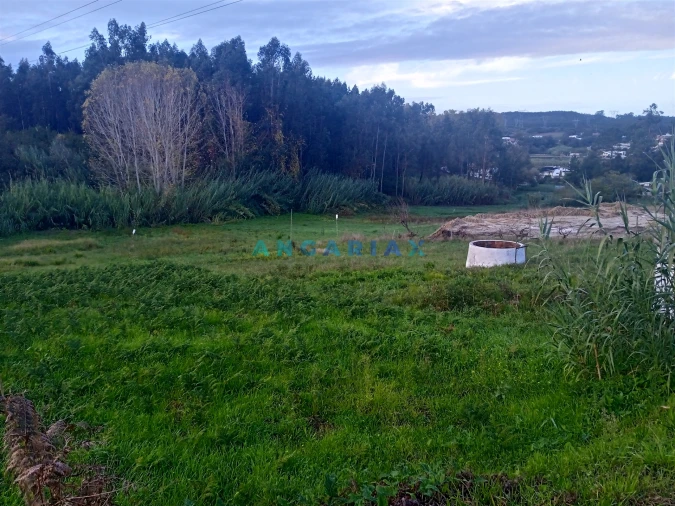 Terreno para Venda em Maceira Foto 4