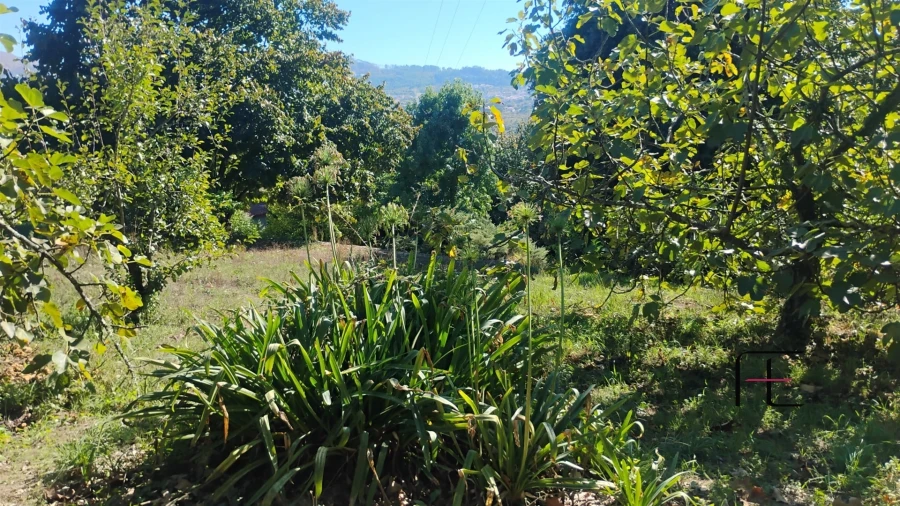 Moradia T6 para Venda em Boelhe Foto 5