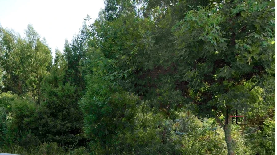 Terreno para Venda em Vila Chã, Codal e Vila Cova de Perrinho Foto 2