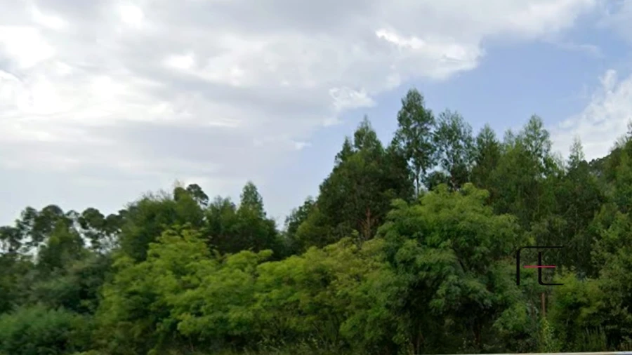 Terreno para Venda em Vila Chã, Codal e Vila Cova de Perrinho Foto 3
