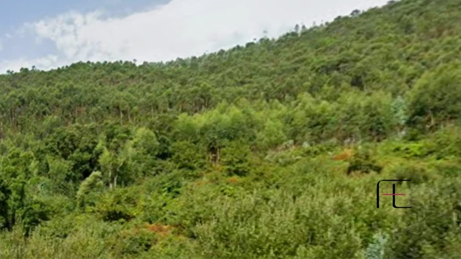 Terreno para Venda em Vila Chã, Codal e Vila Cova de Perrinho