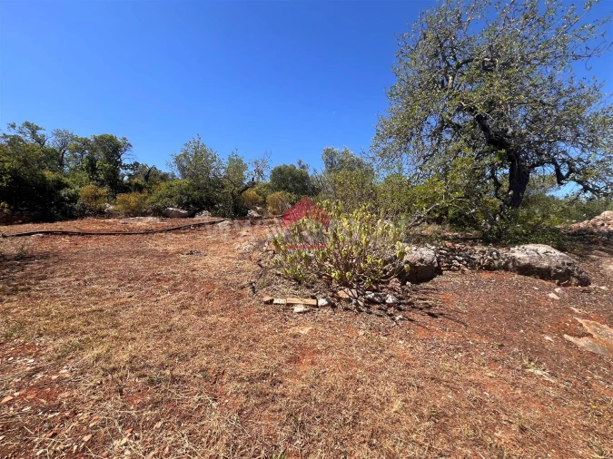 Moradia T4 para Venda em Luz de Tavira e Santo Estêvão Foto 23