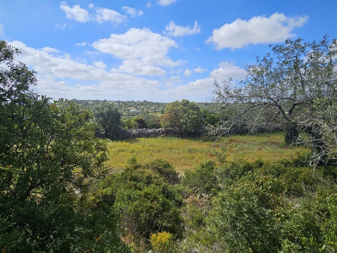 Moradia T0 para Venda em Santa Barbara de Nexe Foto 28