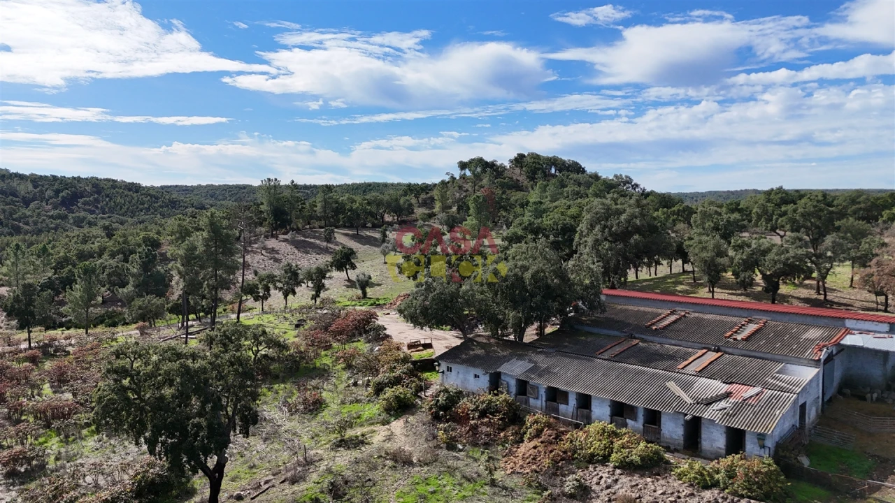 Quinta T6 para Venda em Bemposta Foto 6