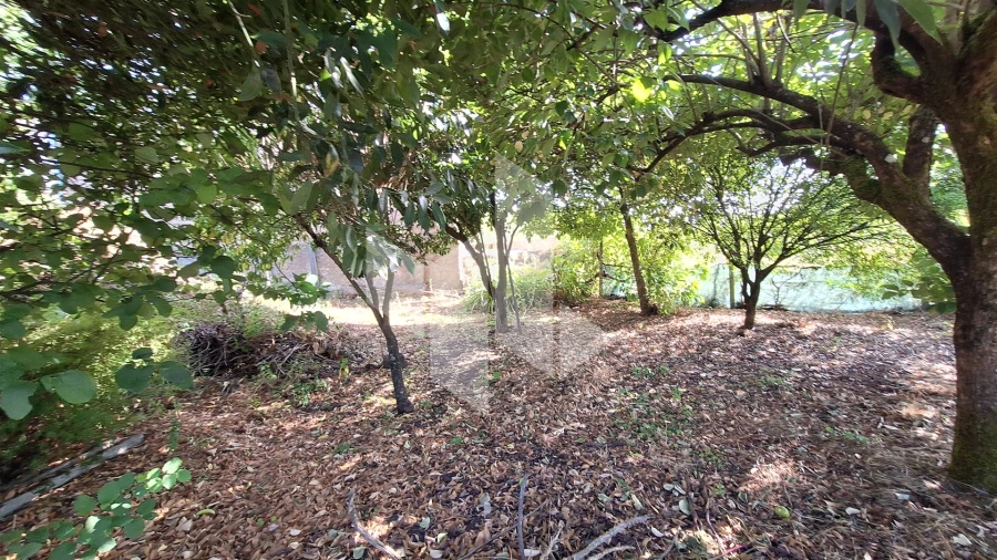 Moradia T3 para Venda em Molelos Foto 10