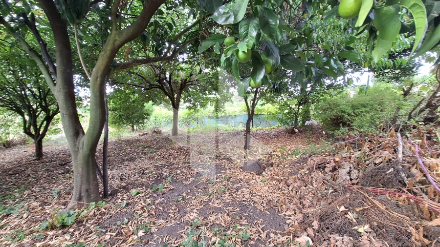 Moradia T3 para Venda em Molelos Foto 11