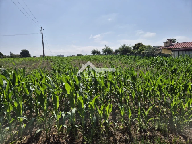 Terreno para Venda em Valega Foto 2
