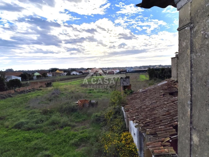 Terreno para Venda em Valega Foto 1