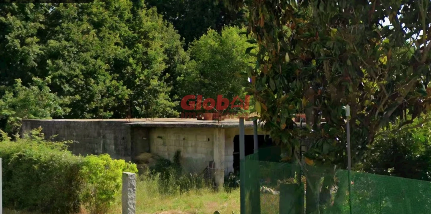 Terreno para Venda em Bodiosa Foto 1