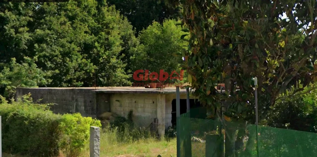 Terreno para Venda em Bodiosa Foto 1