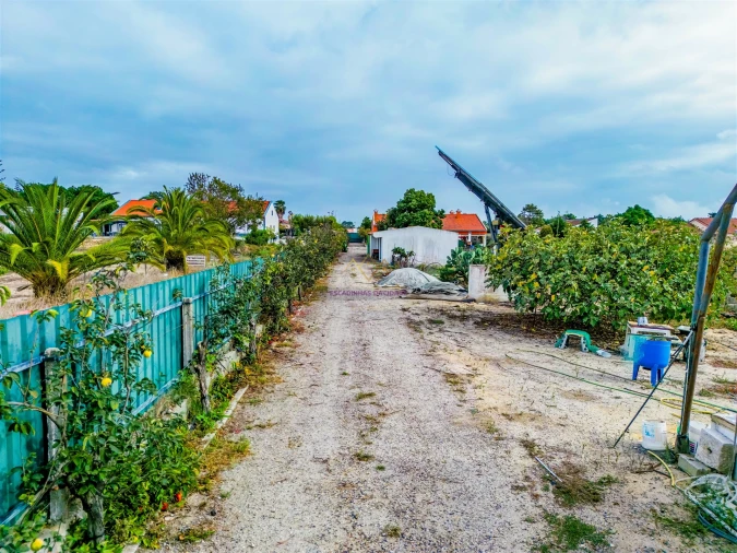 Quinta T3 para Venda em Gambia-Pontes-Alto da Guerra Foto 6
