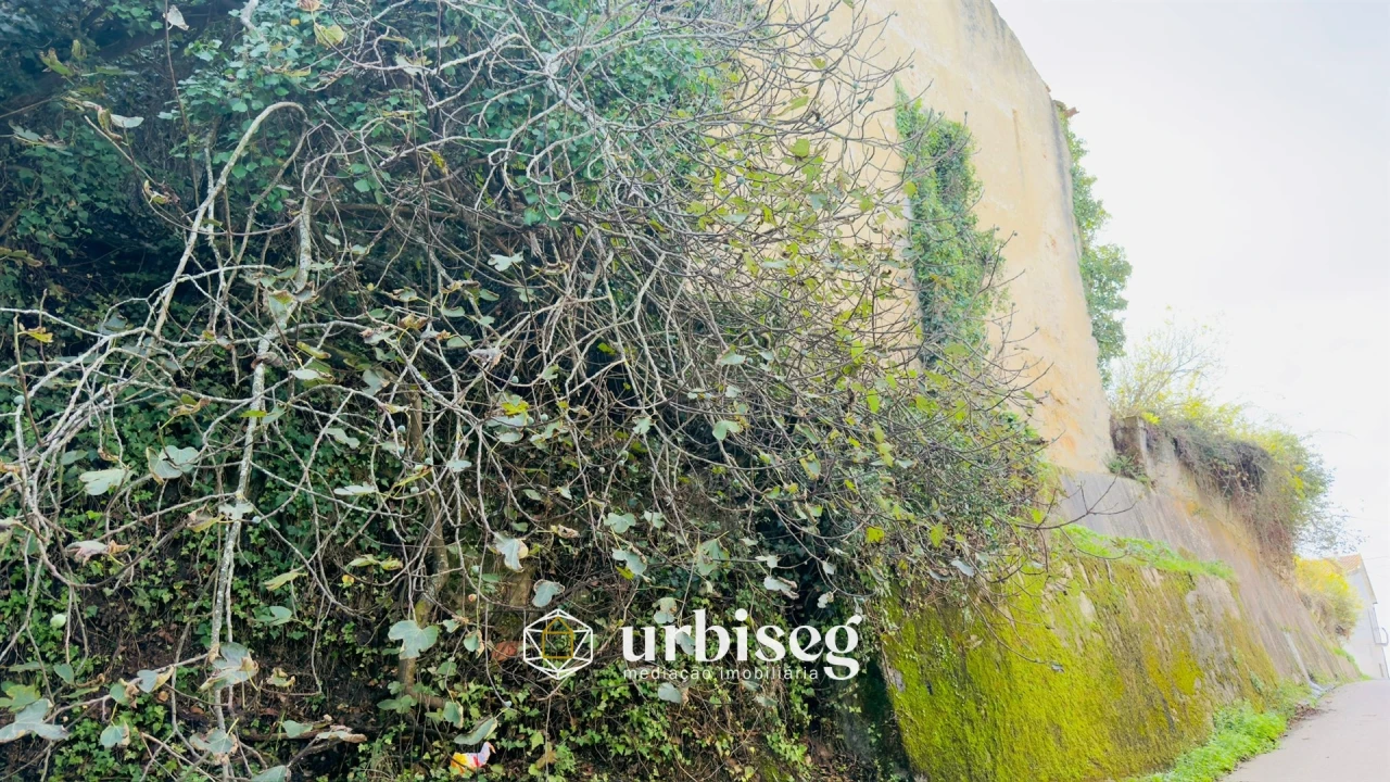 Moradia T10 para Venda em Samuel Foto 23