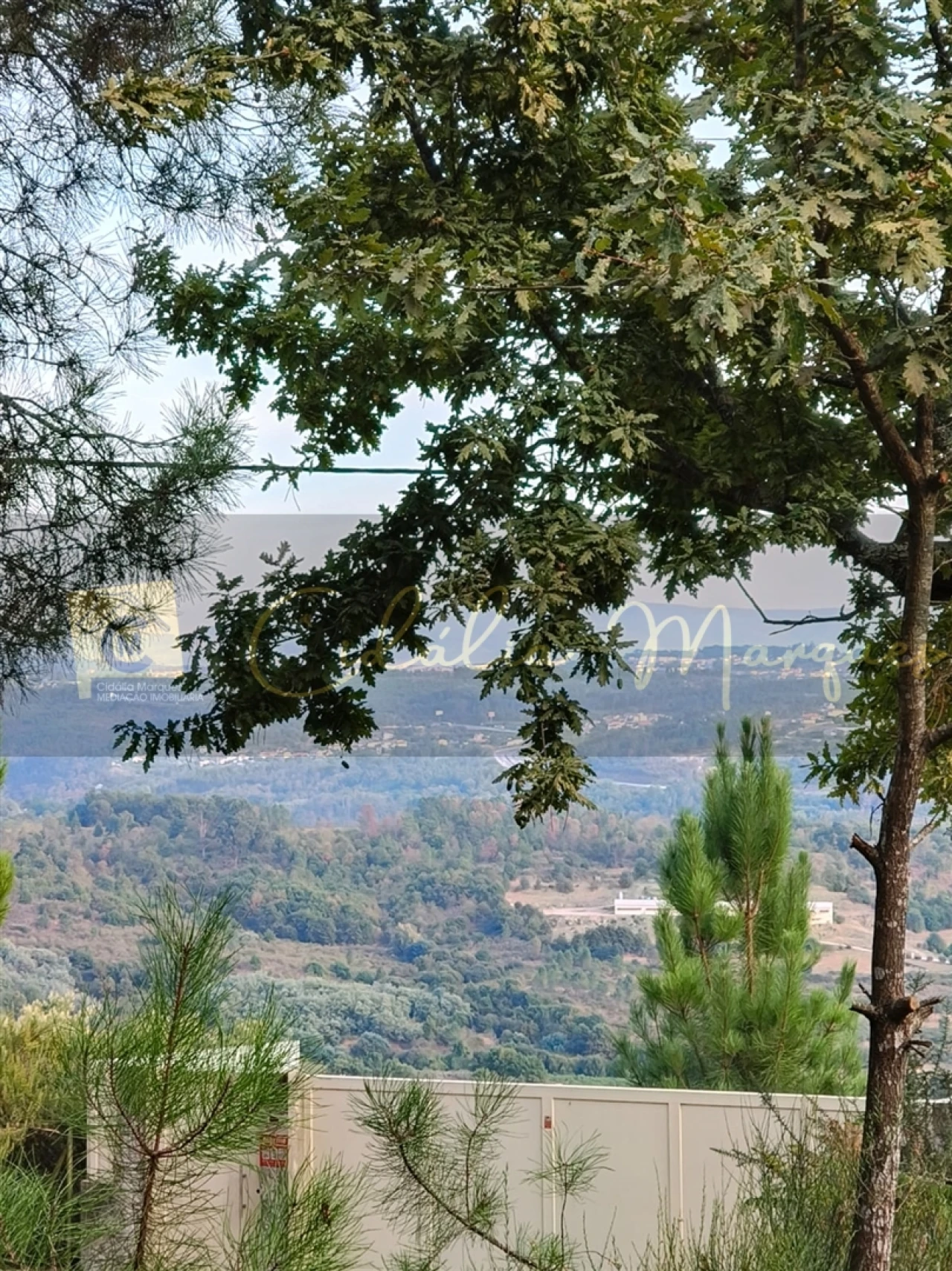 Terreno para Venda em Santos Evos Foto 2
