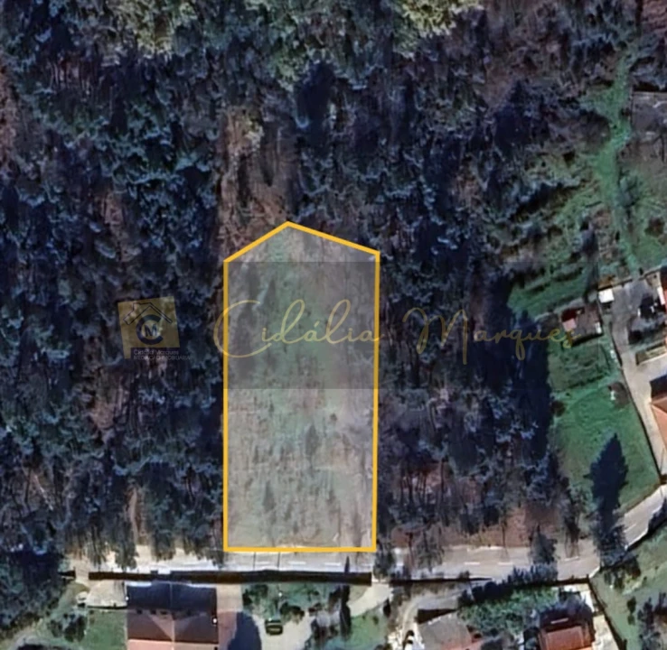 Terreno para Venda em Santos Evos Foto 6