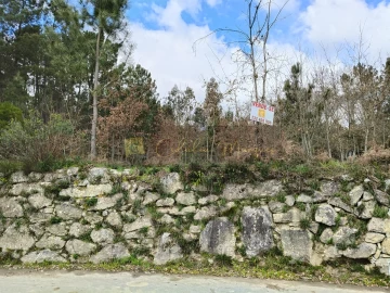 Terreno para Venda em Santos Evos