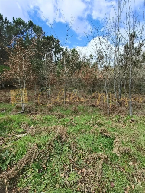 Terreno para Venda em Santos Evos