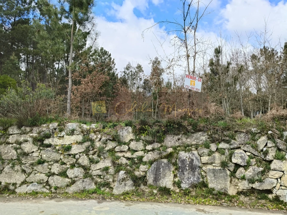 Terreno para Venda em Santos Evos Foto 10