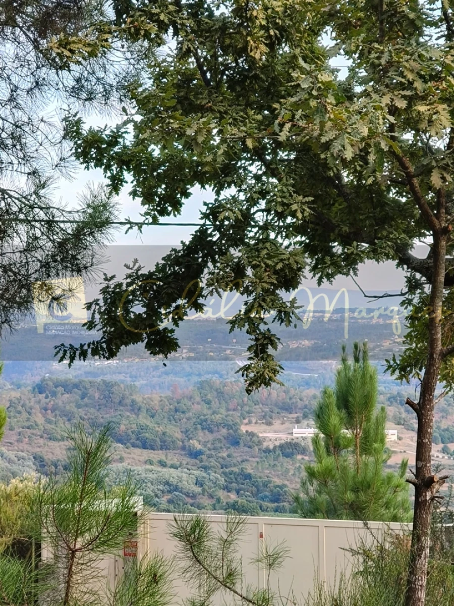 Terreno para Venda em Santos Evos Foto 2