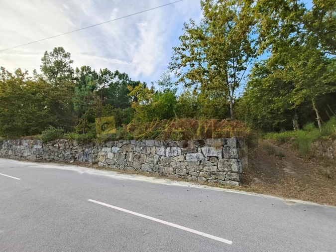 Terreno para Venda em Santos Evos Foto 5