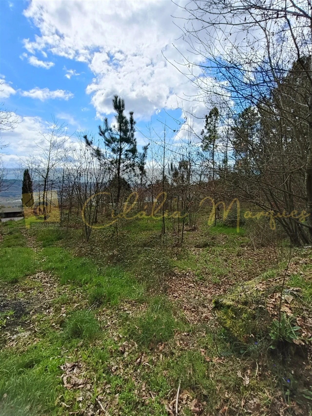 Terreno para Venda em Santos Evos Foto 9