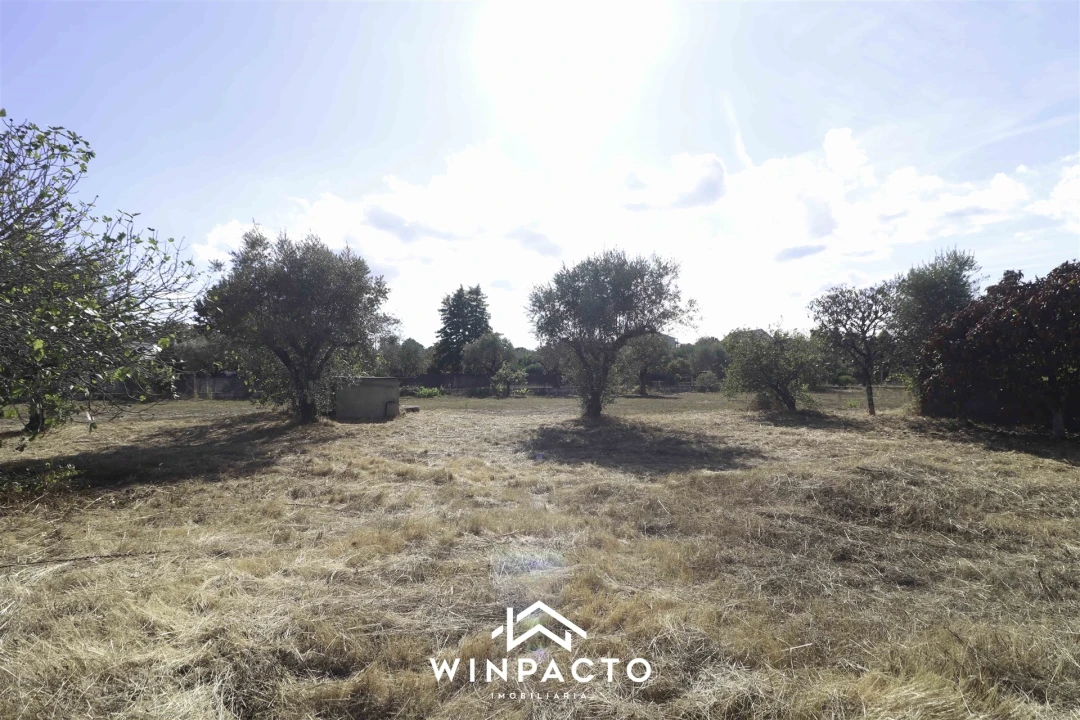 Moradia T3 para Venda em Lapa do Lobo Foto 17