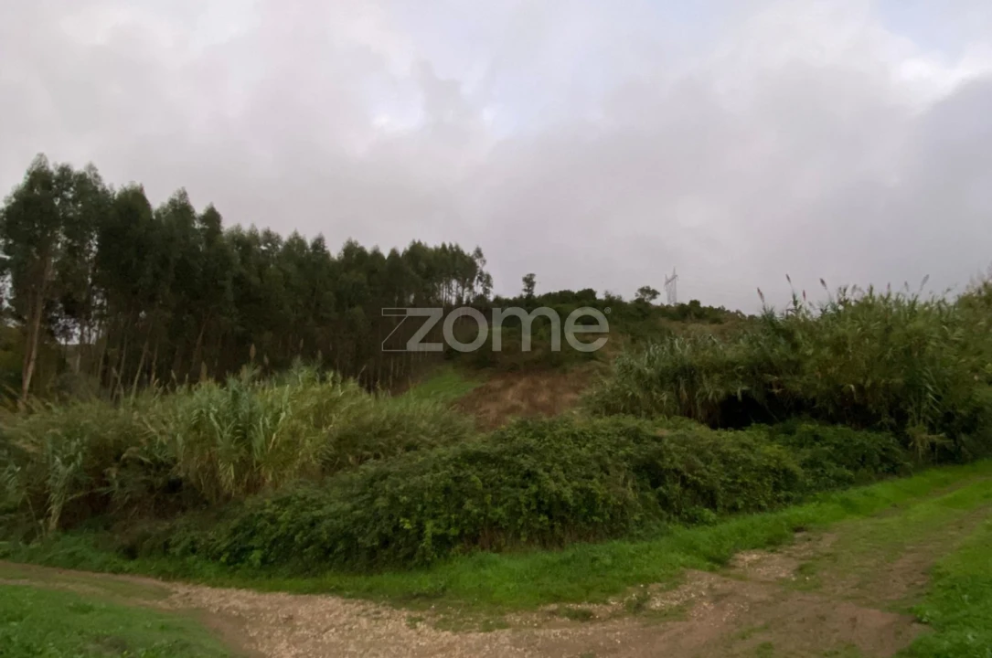 Terreno para Venda em Dois Portos e Runa Foto 2