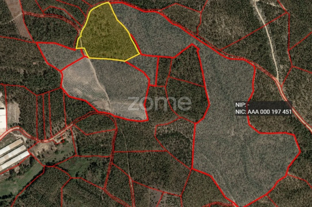 Terreno para Venda em Dois Portos e Runa Foto 12