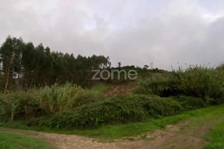 Terreno para Venda em Dois Portos e Runa Foto 1