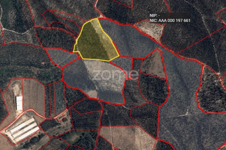 Terreno para Venda em Dois Portos e Runa Foto 13