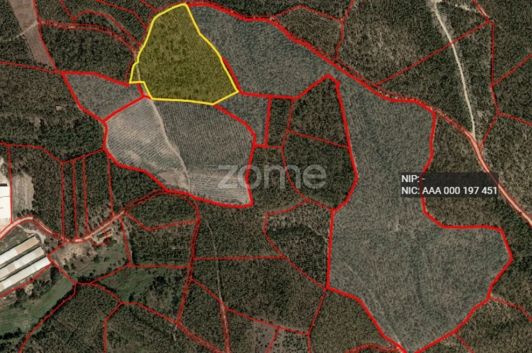 Terreno para Venda em Dois Portos e Runa Foto 11