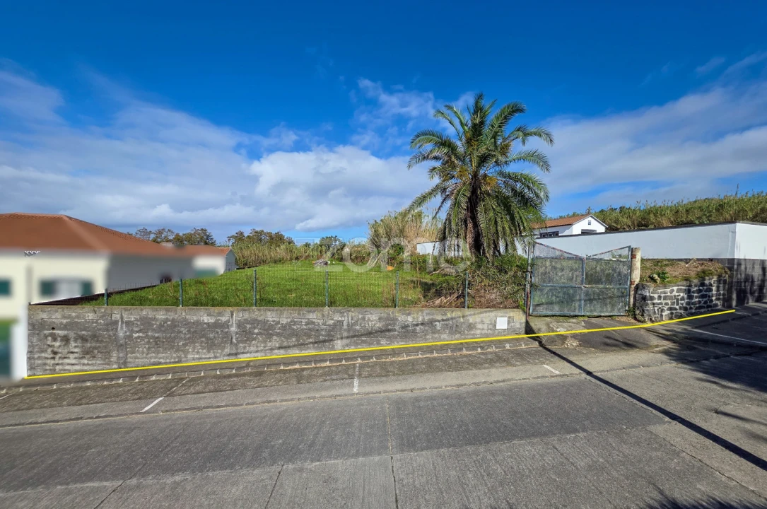 Terreno para Venda em Candelaria Foto 4