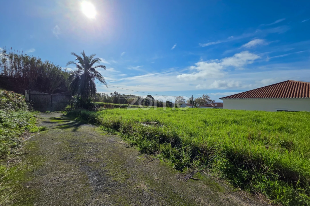 Terreno para Venda em Candelaria Foto 8