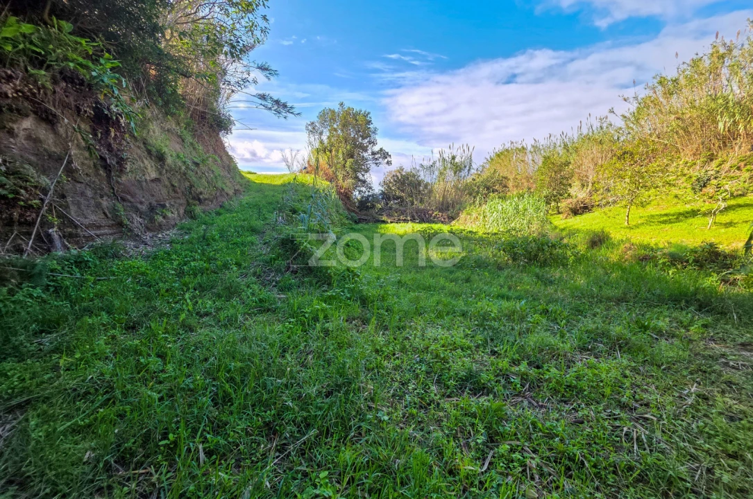 Terreno para Venda em Candelaria Foto 14