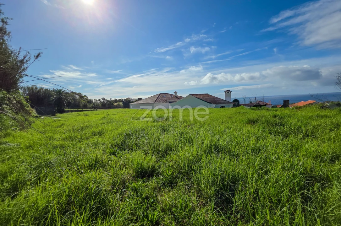 Terreno para Venda em Candelaria Foto 9