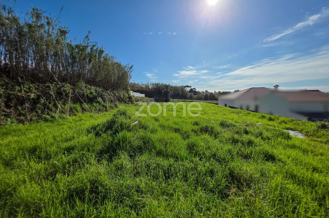 Terreno para Venda em Candelaria Foto 11
