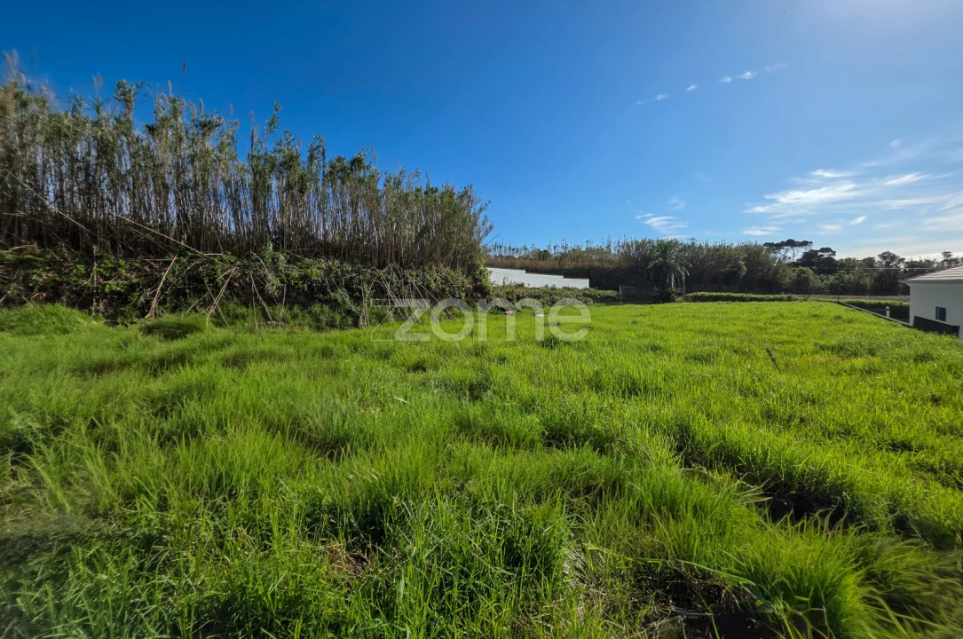 Terreno para Venda em Candelaria Foto 1