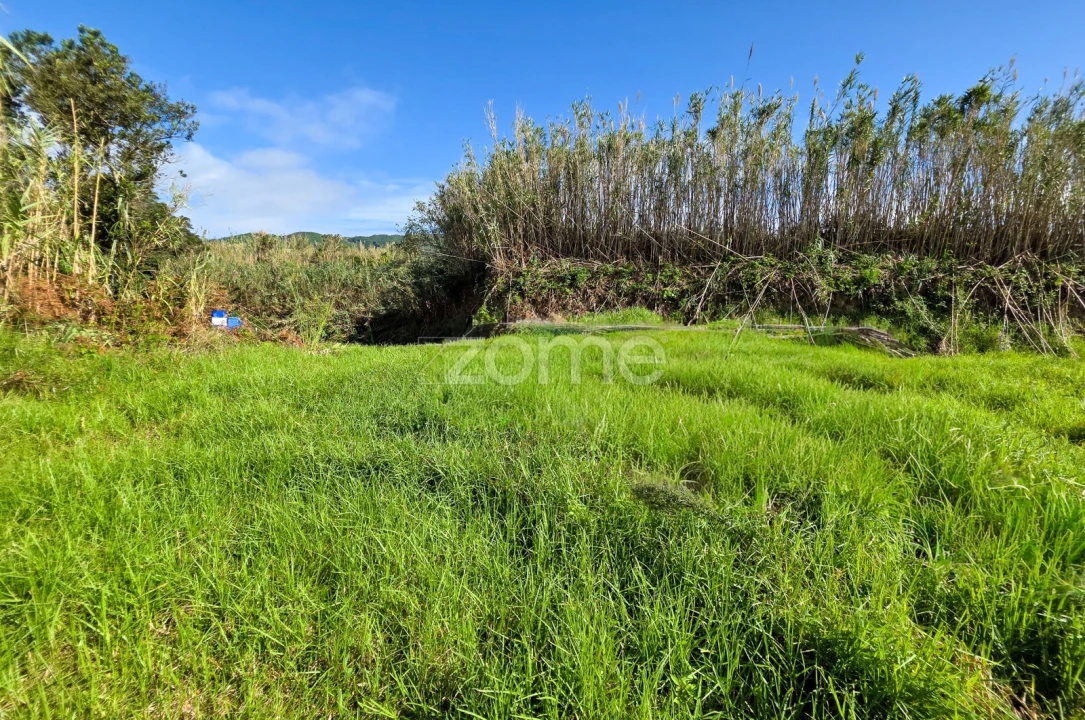 Terreno para Venda em Candelaria Foto 12