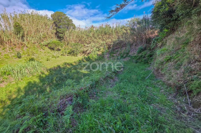 Terreno para Venda em Candelaria Foto 13