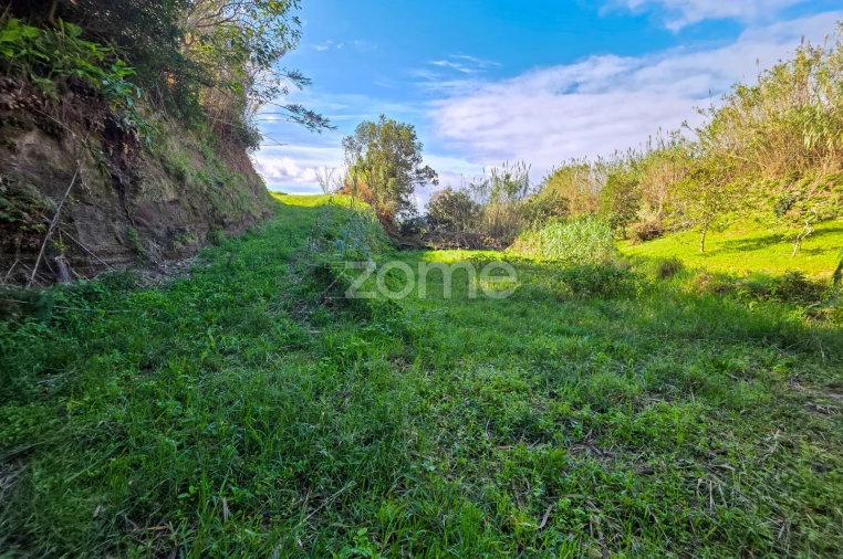 Terreno para Venda em Candelaria Foto 14