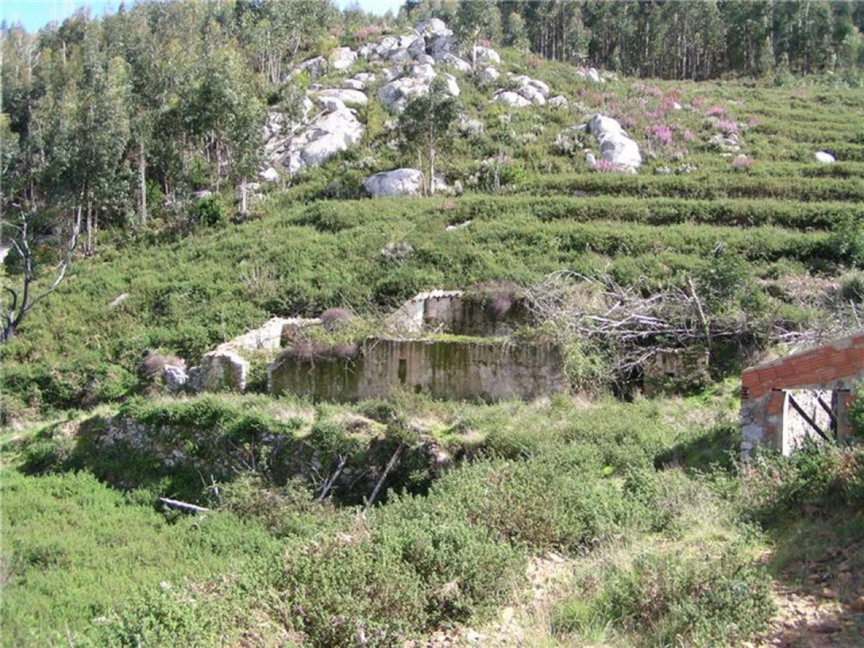 Quinta para Venda em Monchique Foto 6