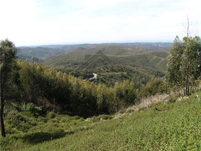 Quinta para Venda em Monchique Foto 2
