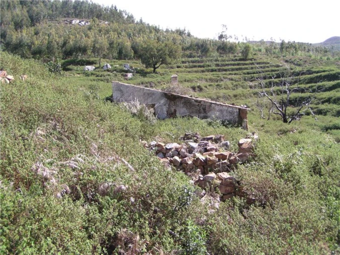 Quinta para Venda em Monchique Foto 3