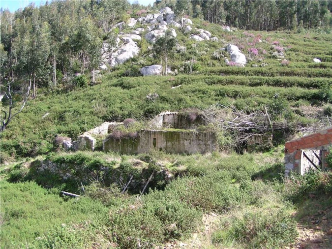 Quinta para Venda em Monchique Foto 6