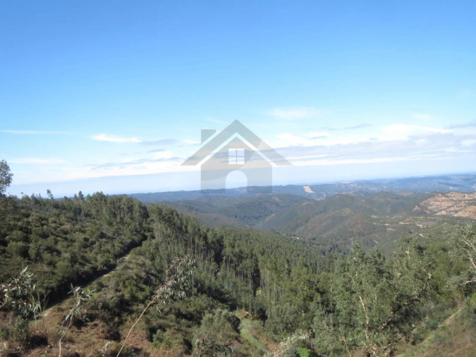 Quinta para Venda em Monchique Foto 8