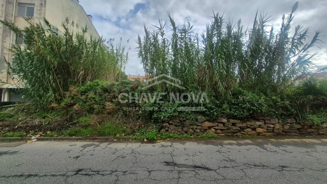 Terreno P/ Prédio para Venda em Espinho Foto 12