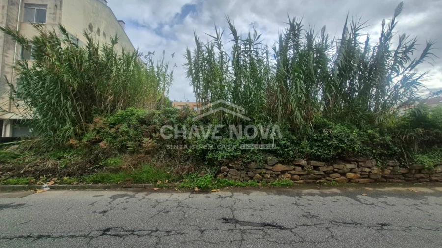Terreno P/ Prédio para Venda em Espinho Foto 12