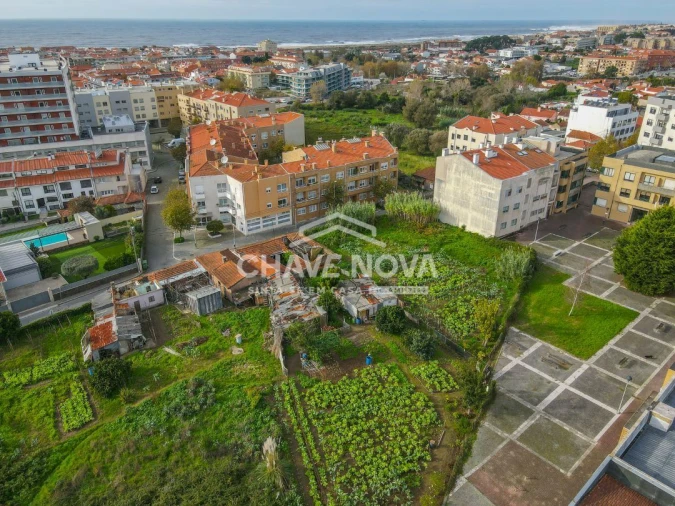 Terreno P/ Prédio para Venda em Espinho Foto 3